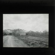 Böhl glass slide 32./2638